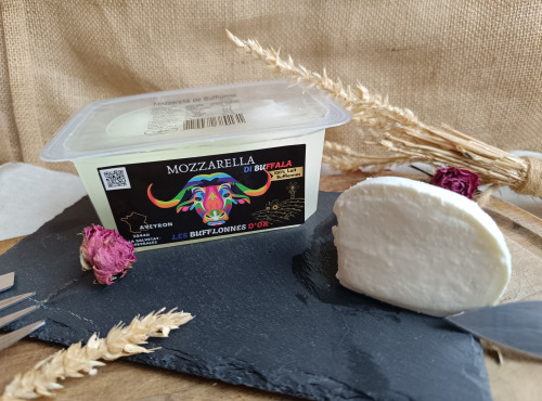 Les Bufflonnes d'Or - Mozzarella de Bufflonne 2x125g