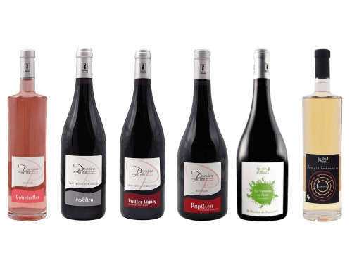 Domaine de la Perrée - AOC Saint-Nicolas-de-Bourgueil & Bourgueil - Coffret Découverte 6 bouteilles