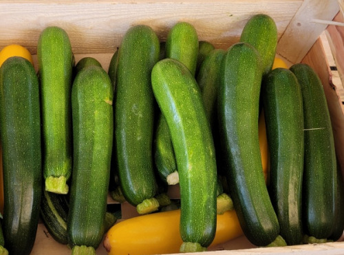 Le Pré de la Rivière - Courgettes vertes bio 2kg - Origine France