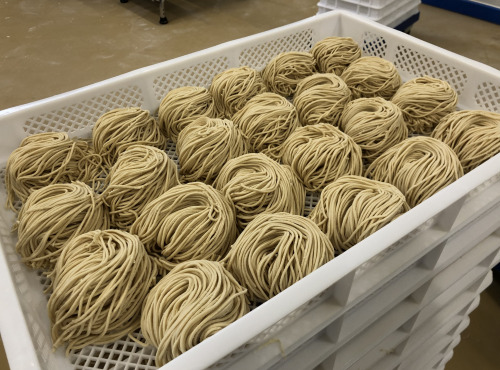 Lioravi, l'authentique pâte fraîche ! - [Précommande] Colis de Pâtes Bio Yakisoba 4x250g