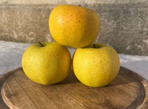 La Ferme des Prun'Elles - Pomme Chantecler/Belchard - 1 kg