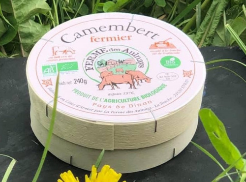 Ferme de la Paumerais - CAMEMBERT FERMIER BIO (x1) - 240 Gr