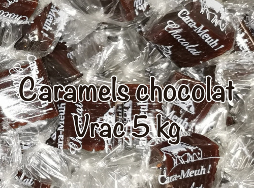 La Ferme des Cara-Meuh - Caramels au chocolat BIO - Vrac 5kg
