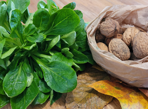 Le Pré de la Rivière - Kit salade de Mache aux noix