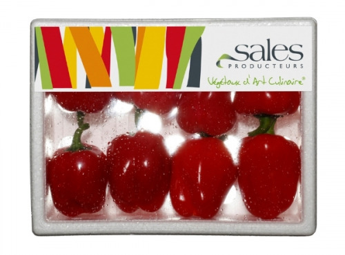 Maison Sales - Végétaux d'Art Culinaire - 13- Mini Poivron Rouge - 8 Pièces
