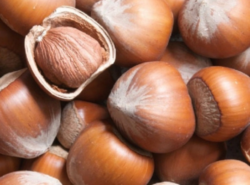 Maréchal Fraicheur - Noisettes - 1 kg