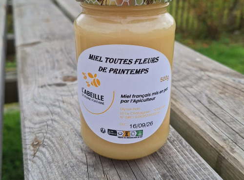 Le Châtaignier - Miel de fleurs de printemps crémeux - 500g