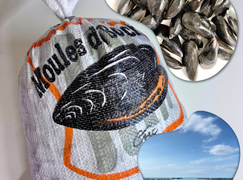 Le Termer - Moules de bouchot PAC 10 kg