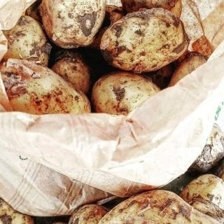 Ferme Joos - Pommes de terre nouvelles Adora - 10Kg