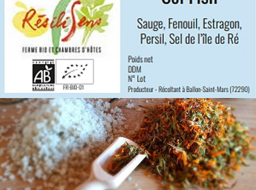 Résilisens - Sel'Fish