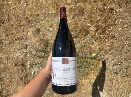Domaine Céline Coté - Bourgogne Epineuil 2022 Magnum