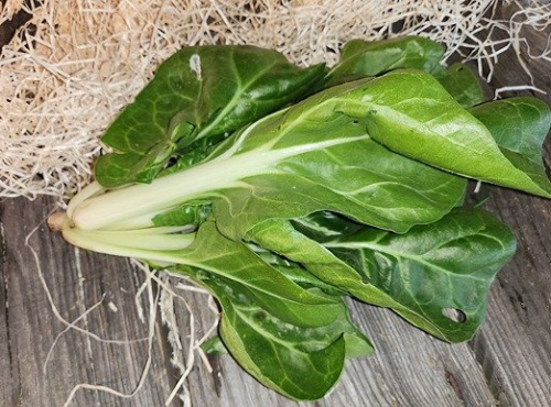 Les Jardins de Gérard - Mini blette Bio - 750 g