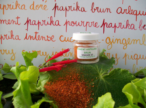 HERBA HUMANA - Piment Antillais Brun Bio 3 g