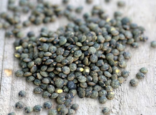 La Ferme des Ecureuils - Lentilles vertes Bio – 10000g