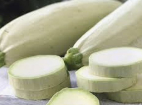 Ferme Sinsac - Courgettes blanches d Egypte