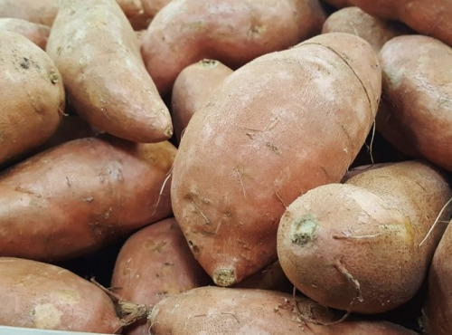 Les Champs Paradis - patate douce 1kg