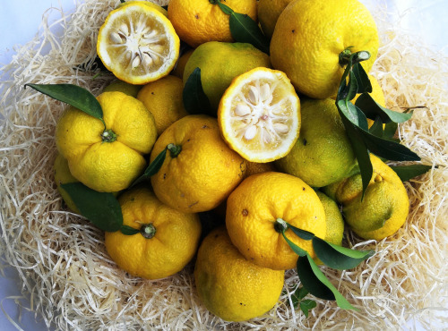 Maison Gannac - Yuzu