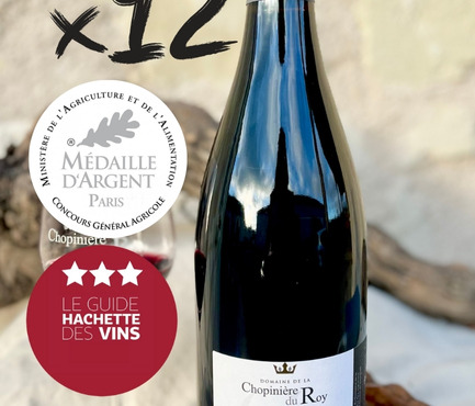 Domaine de la Chopinière du Roy - PROMO 10 % - 12 bouteilles de 12 Arpents 2023 vin rouge Saint Nicolas de Bourgueil- 12 x 75 cl