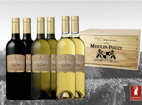 Vignobles Fabien Castaing - Caisse Bois 6 bouteilles La Cuvée Grands Vins Domaine de Moulin-Pouzy
