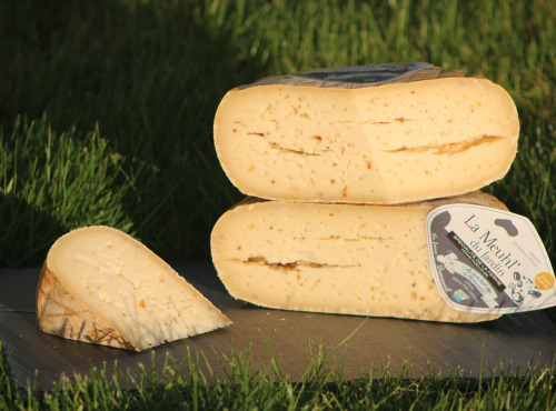 Ferme Dumesnil - Meuhl du Jardin : Tomme aux aromates