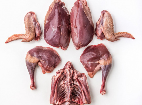 Des Poules et des Vignes à Bourgueil - Pigeon découpé avec carcasse