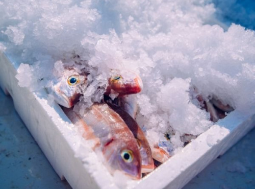 Notre poisson - Colis du pêcheur 2kg