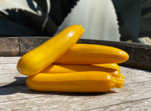 La Boite à Herbes - Courgette Jaune - 1 Kg