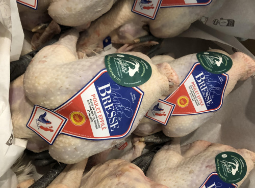 La Guyotte Ferme Bressane - Le Poulet de Bresse effilé AOP par 6