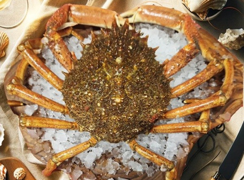 Famille Guezel - Araignée de Mer Vivante 800g-1kg