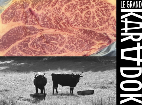 Le Grand Karadok - [Précommande] Coffret Découverte de Wagyu maturé Bio