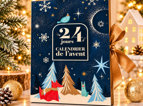 Chaloin Chocolats - Calendrier de l'avent Bonbons en chocolats
