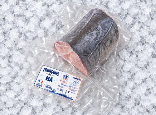 Mon Petit Poisson - Tronçon de hâ de ligne – 500 à 700 g