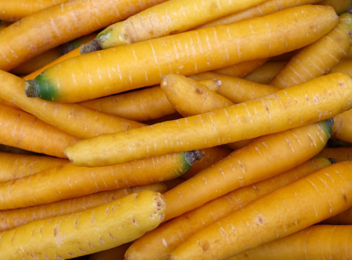 Maréchal Fraicheur - Carottes jaunes - 1 kg