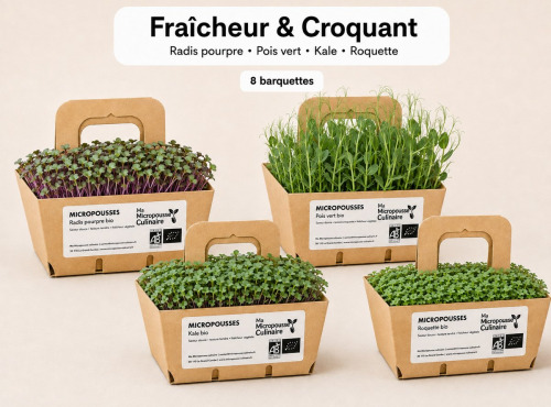 Ma Micropousse culinaire - Micro-pousses bio – Pack Fraîcheur & Croquant – Radis, pois vert, kale & roquette – 8 barquettes