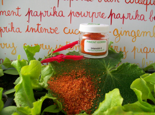 HERBA HUMANA - Piment Gorria Bio 3 g
