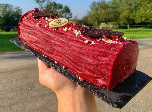 Glaces de Meuse - Bûche Glacée "Dragée Fruitée" (12-14 parts)