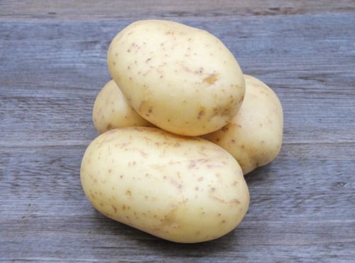 Nature et Saveurs - Ferme Aquaponique et Permacole Astérienne - Pommes de Terre AGATA