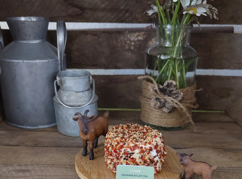 Boutique Boisette - Chèvre enrobé pempa 150g
