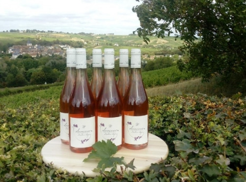 Domaine Doudeau-Leger - Sancerre Rosé AOC 2023 - 6 Bouteilles