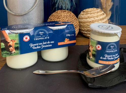 Ferme de La Tremblaye - 2 yaourts saveur abricot