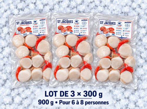 Mon Petit Poisson - Noix de Saint-Jacques coraillées – lot de 3 × 300 g (900 g)