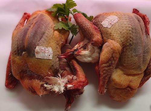 Ferme de la Paumerais - PIGEONNEAU - 400 Gr (x2)