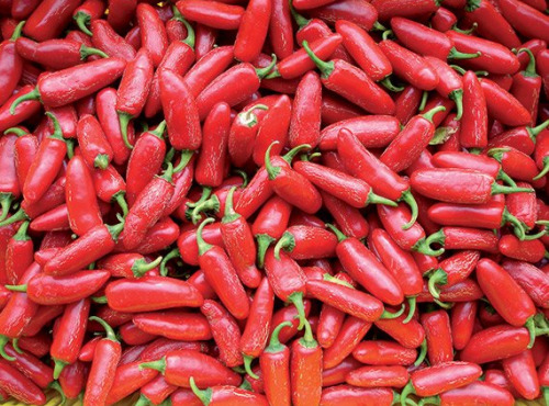 Les Jardins de Mondpa - piments forts