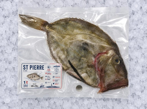 Mon Petit Poisson - Saint-Pierre vidé français – 500 à 700 g