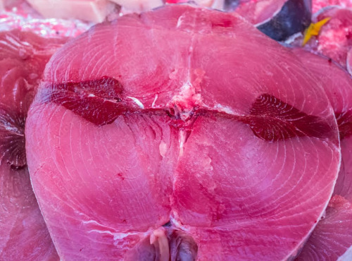 Le goéland gourmand du bateau à l’assiette - Thon rouge de Méditerranée 1kg