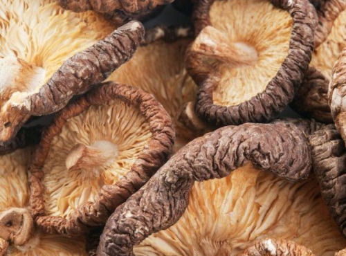 La Carrière du Bienheureux - Shiitake déshydraté Bio - 100g