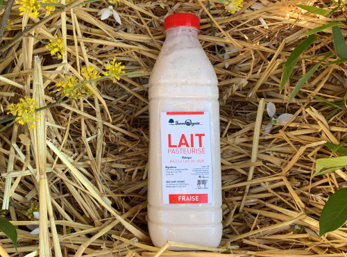 FermOgout - Lait pasteurisé à la Fraise