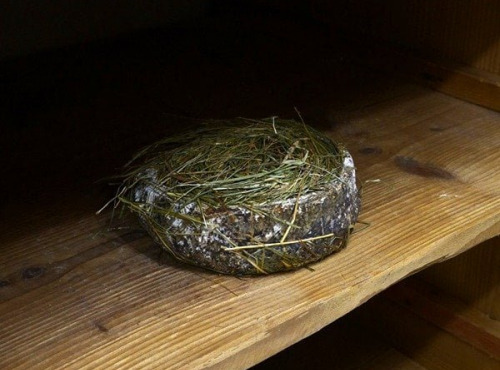 Alléosse Maitre Artisan Affineur Fromager - Tomme fermière au Foin au lait cru 1kg