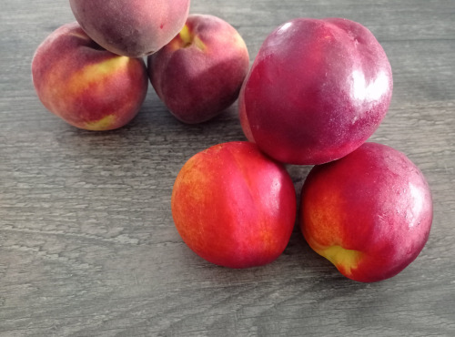 Massot Delphine et Garrigue Marc - Pack promo 4kg peche ou nectarine + 8kg peche ou nectarine pour jus ,compote ou confiture.