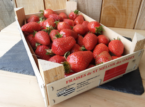 Gourmets de l'Ouest - Fraises de Saint-Malo - plateau 1kg